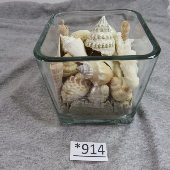 REAL Sea Shells in a Glass Square Vase and sand #5 - Picture 1 of 9